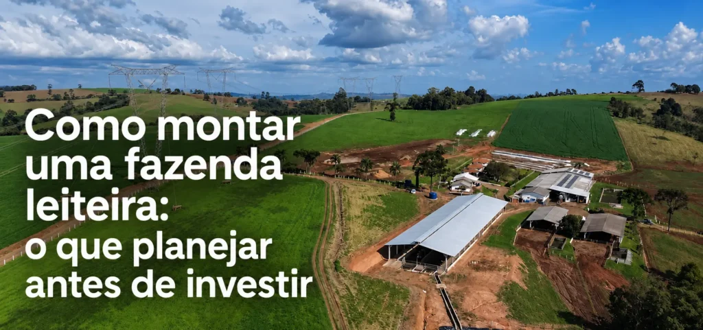 Como montar uma fazenda leiteira: o que planejar antes de investir