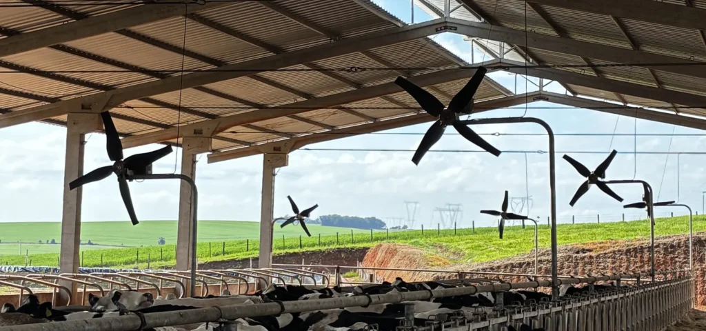 Ventiladores para vacas leiteiras: conforto térmico, bem-estar e mais eficiência na produção