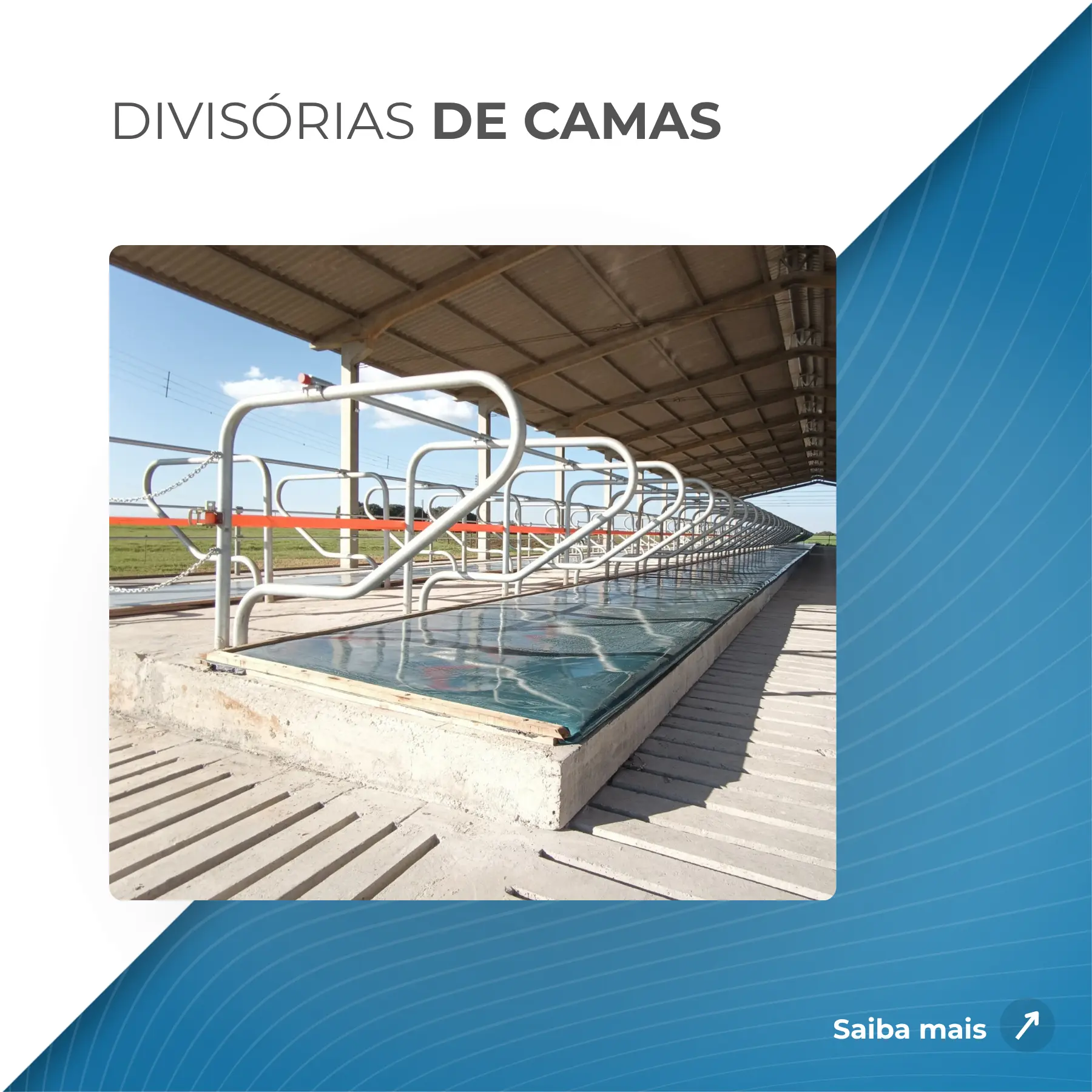 Capa de produtos (13)