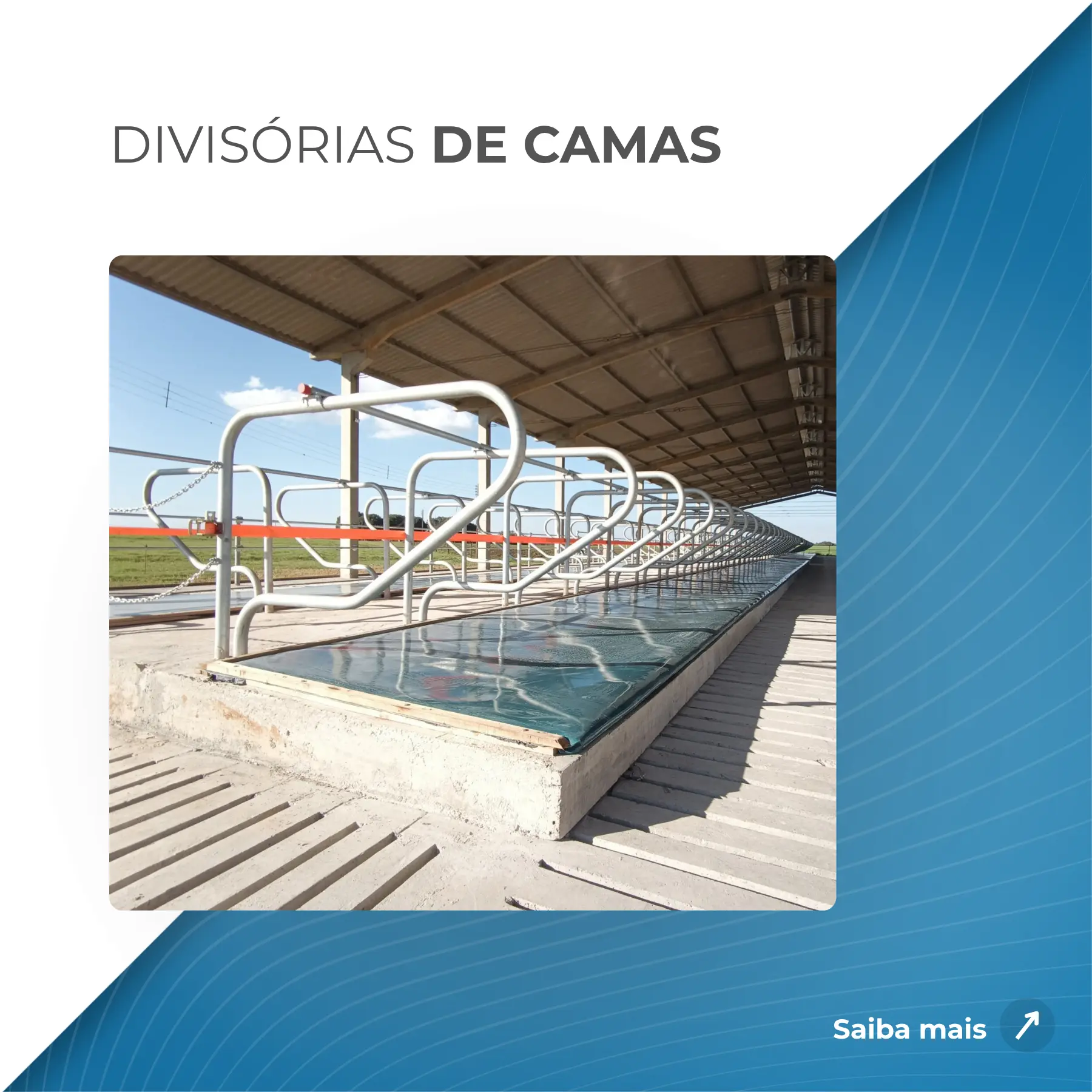 Capa de produtos (20)